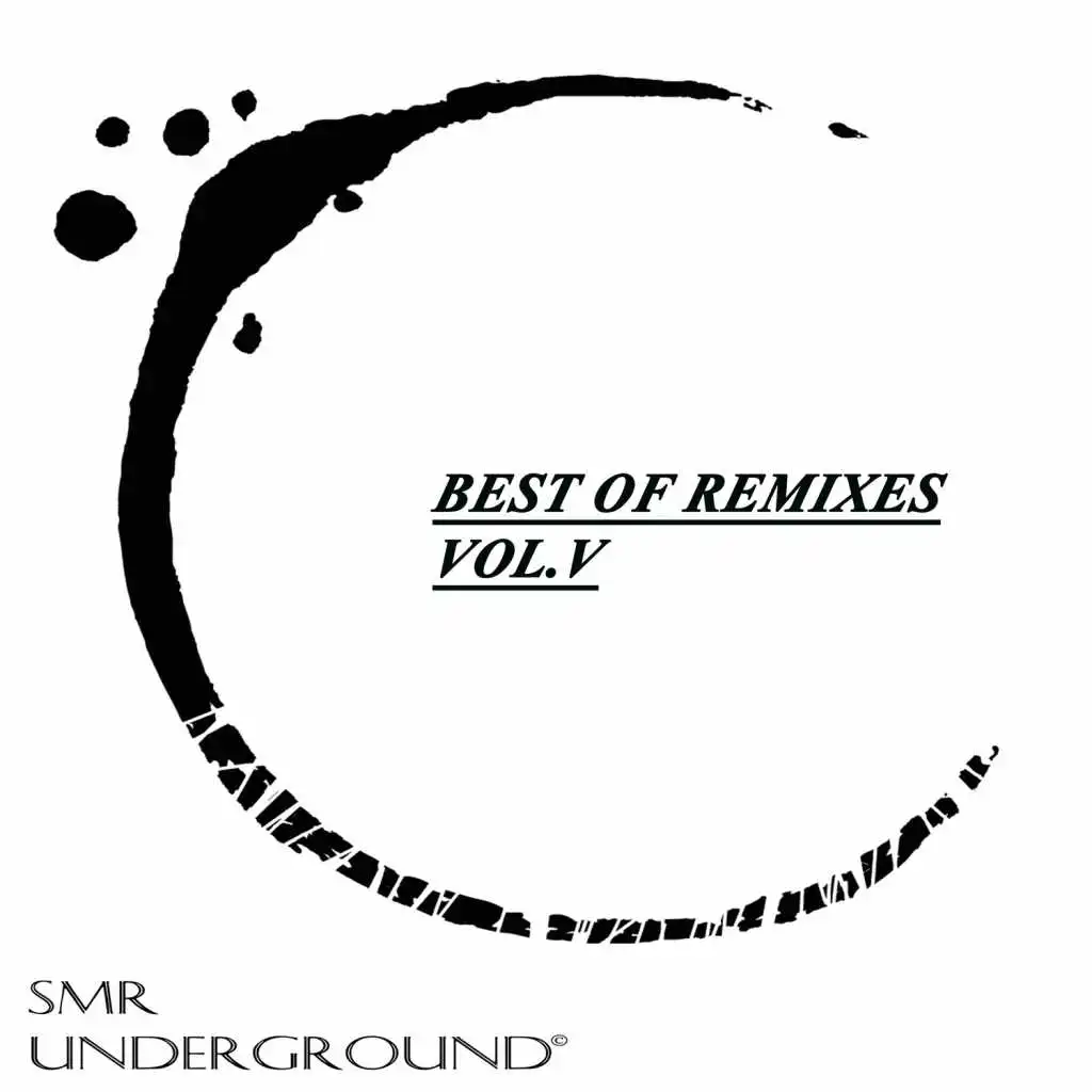 Best Of Remixes Vol.V