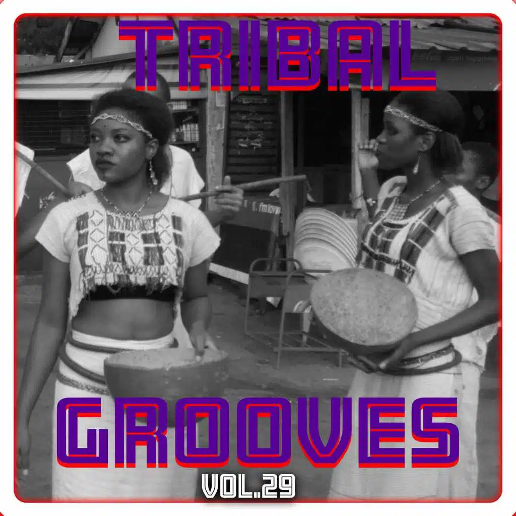 Tribal Grooves Vol. 29