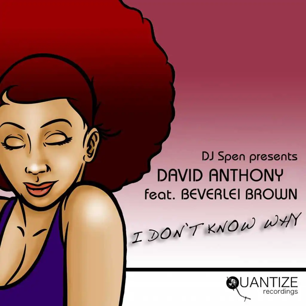 I Don't Know Why (Kemet Soul Remix) [feat. Beverlei Brown]