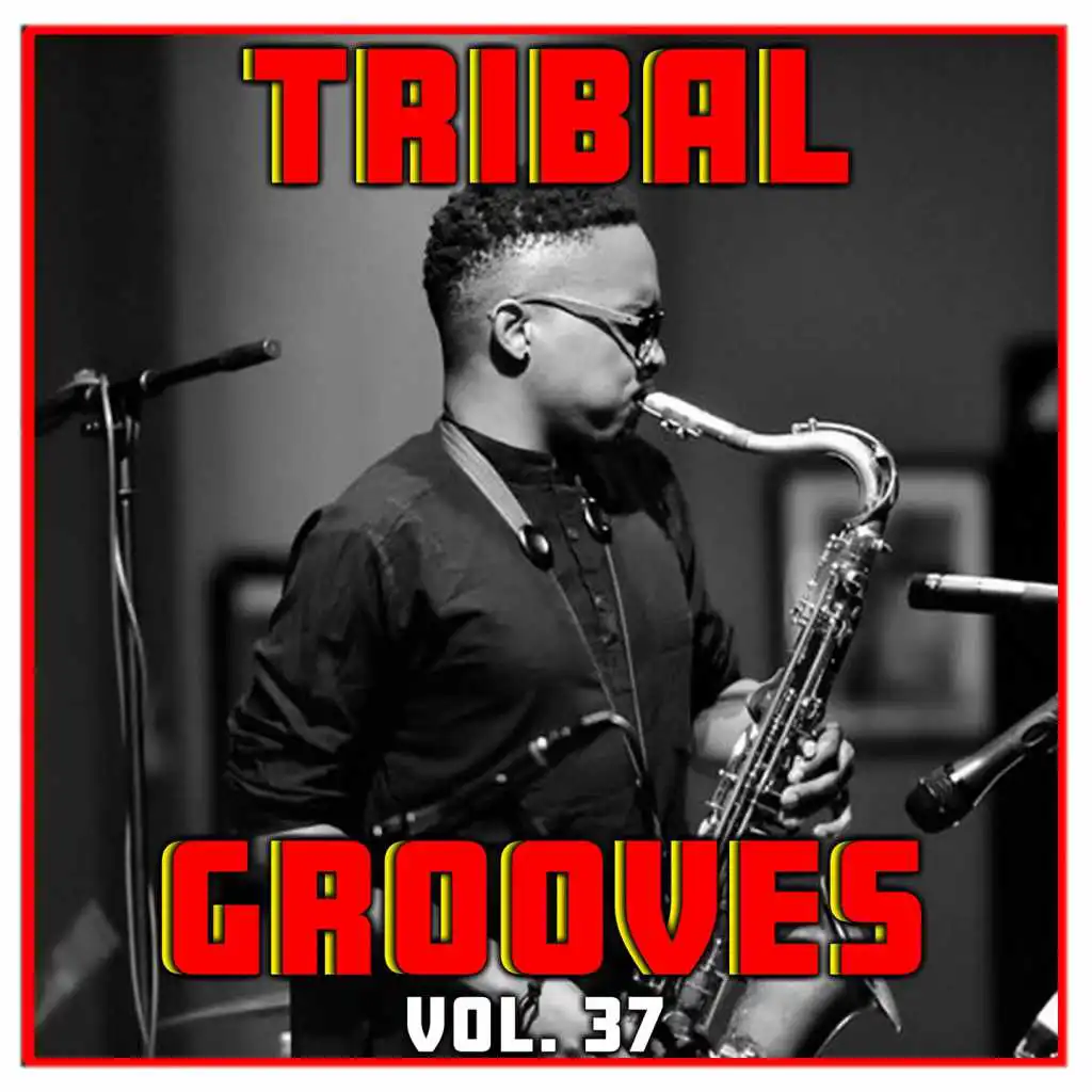 Tribal Grooves Vol. 37