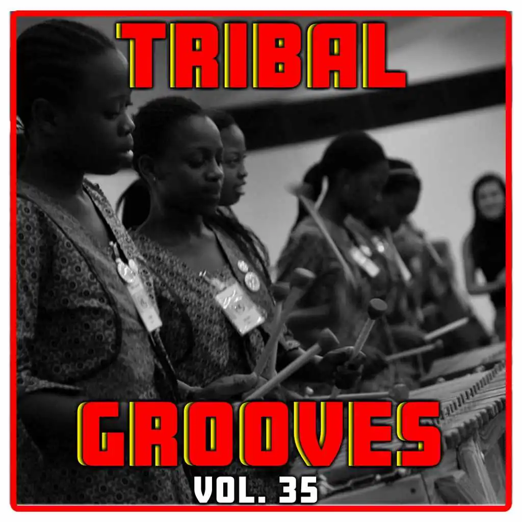 Tribal Grooves Vol. 35