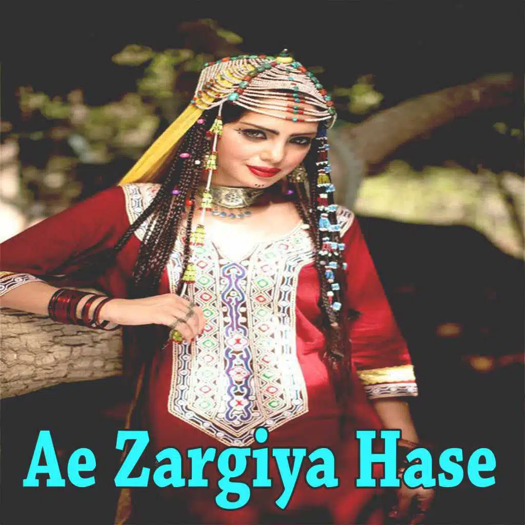 Ae Zargiya Hase