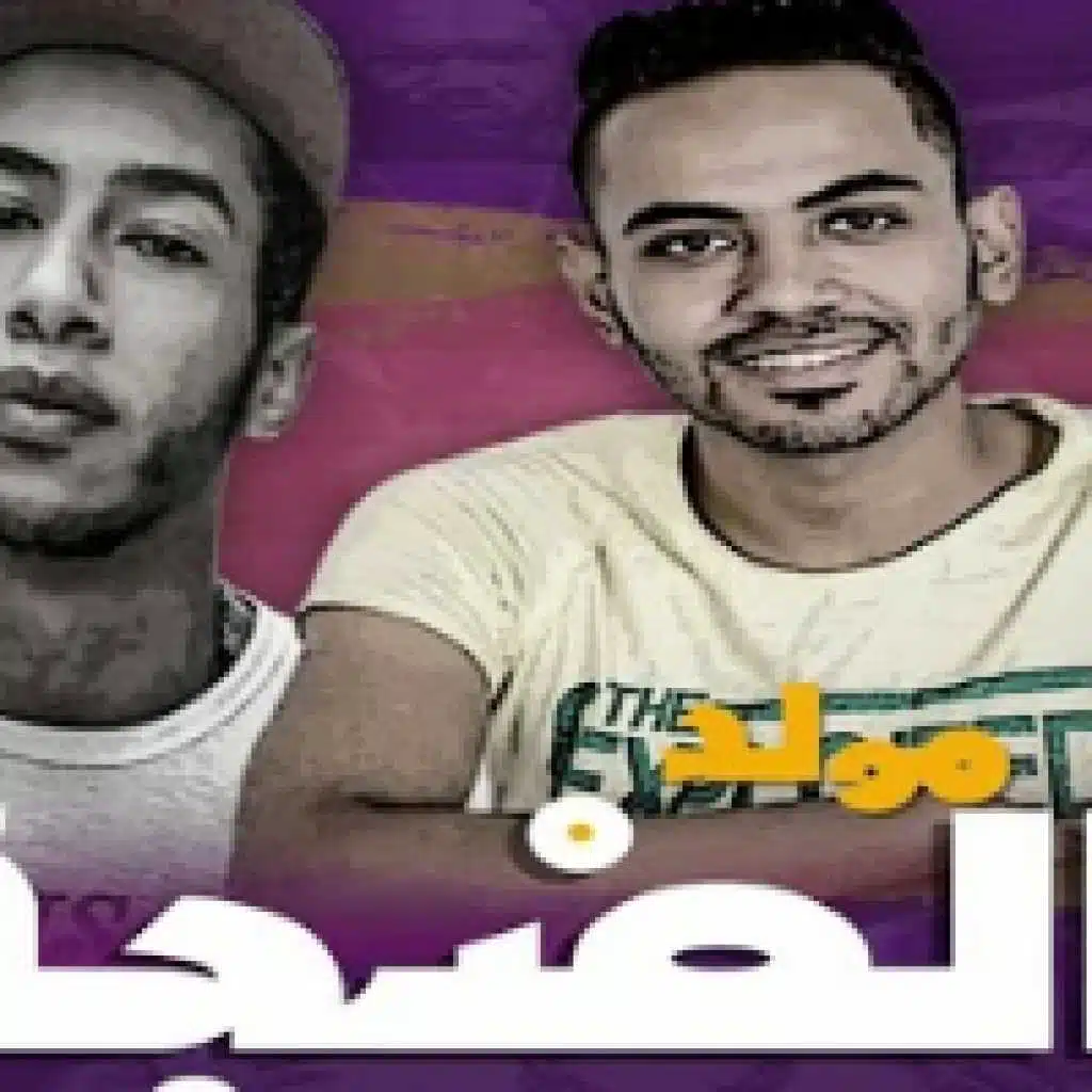 مولد الضجة