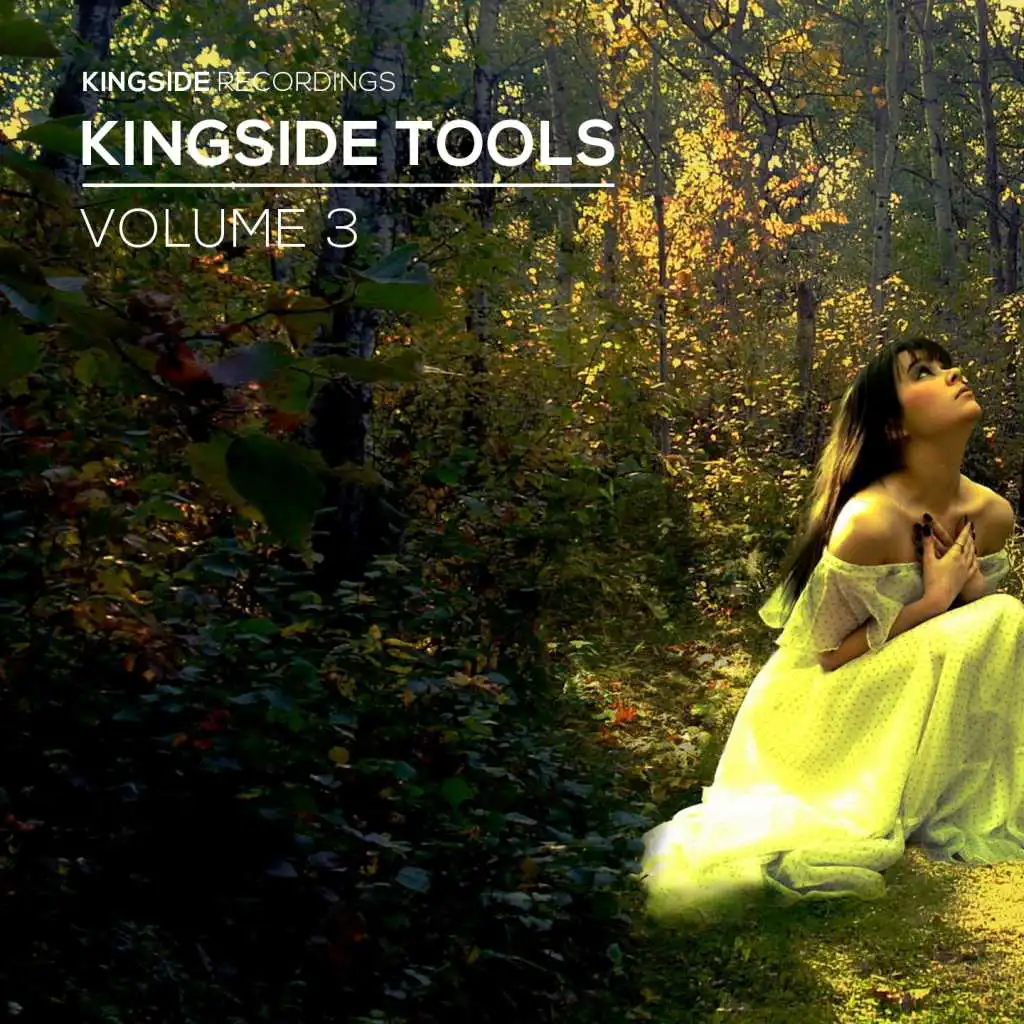 Kingside Tools (Volume 3)