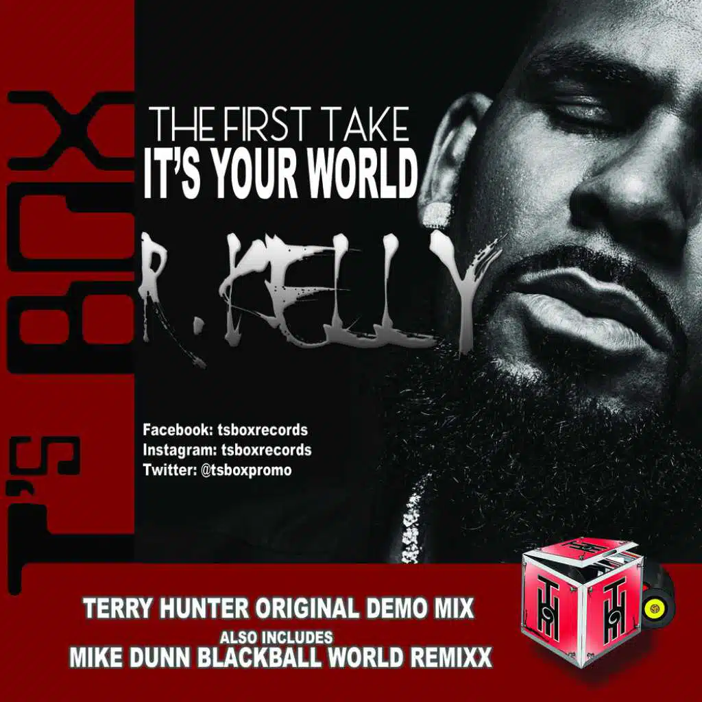 It's Your World (First Take) (Terry Hunter First Take Inst Mix)