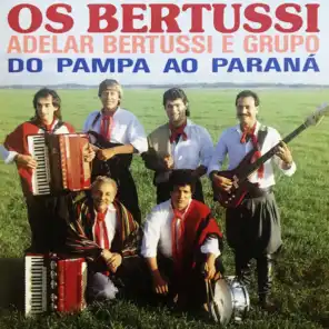 Do Pampa Ao Paraná (feat. Adelar Bertussi & Grupo)