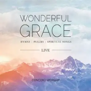 Wonderful Grace (Live) [feat. Tiffany Coburn]
