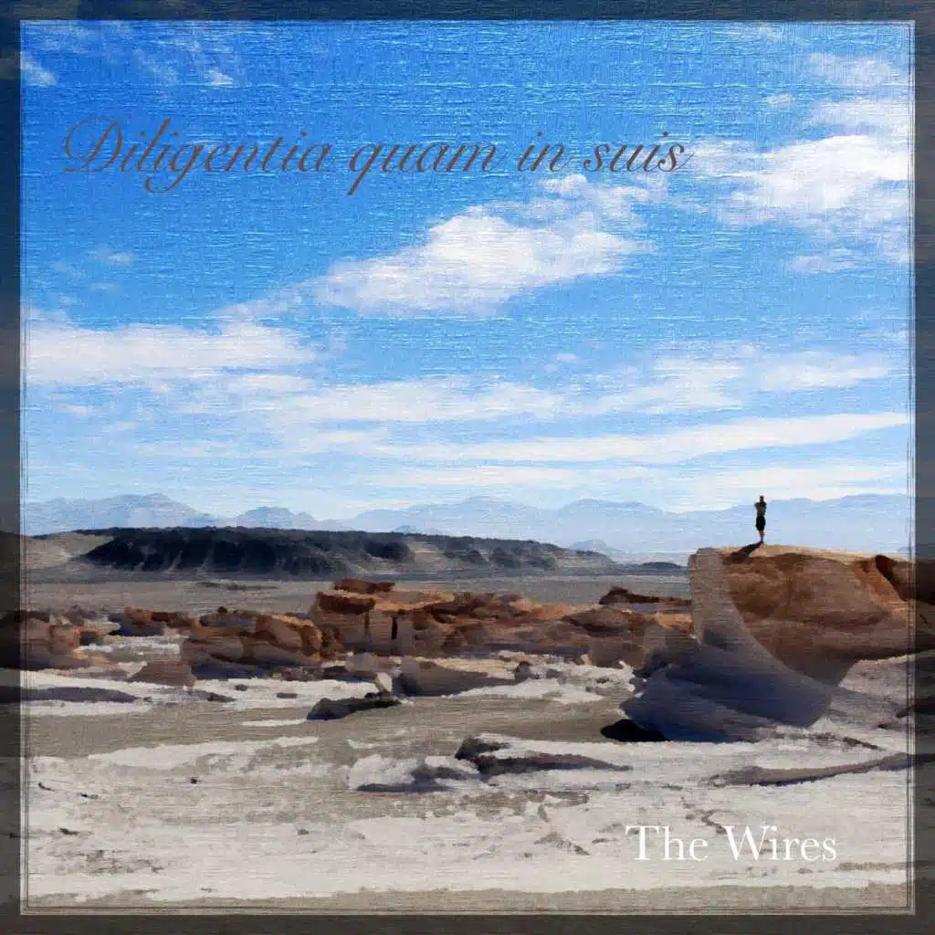 Diligentia Quam in Suis