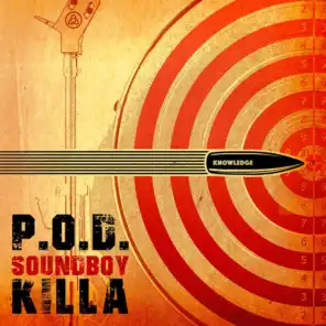 Soundboy Killa