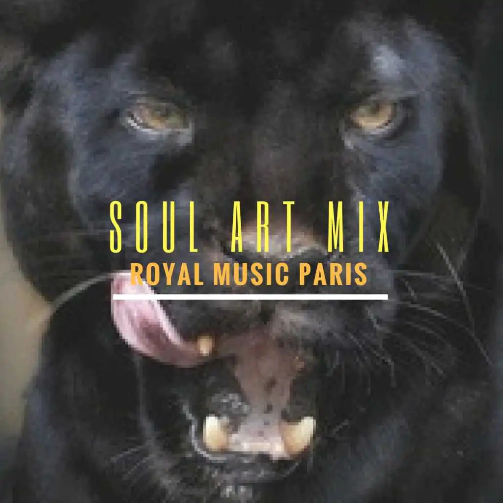 Soul Art Mix (Continuous DJ Mix)