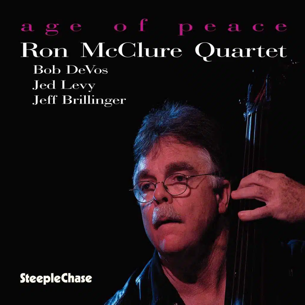 Age of Peace (feat. Jed Levy, Bob DeVos & Jeff Brillinger)