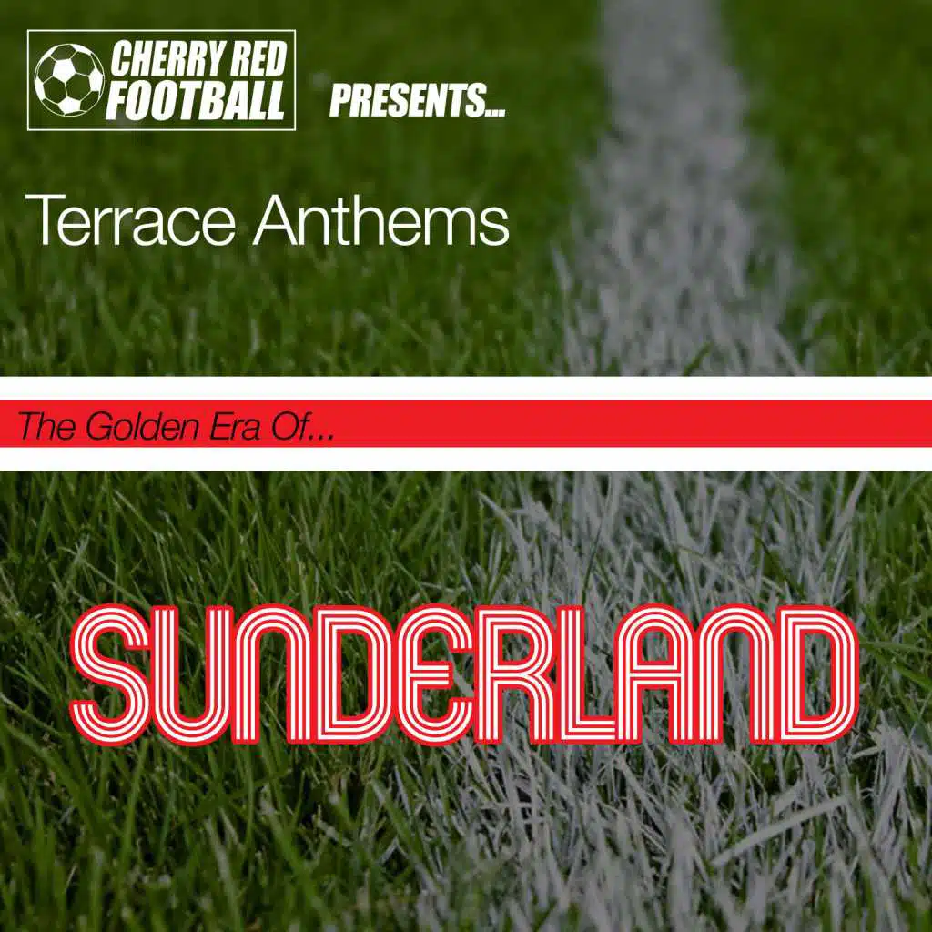 I Left My Heart in Roker Park