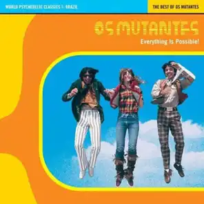 The Best Of Os Mutantes