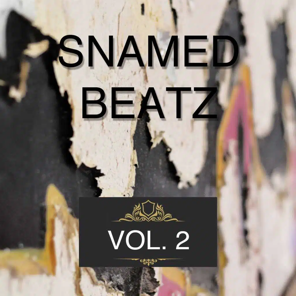 Snamed Beatz, Vol. 2 (Instrumentals)