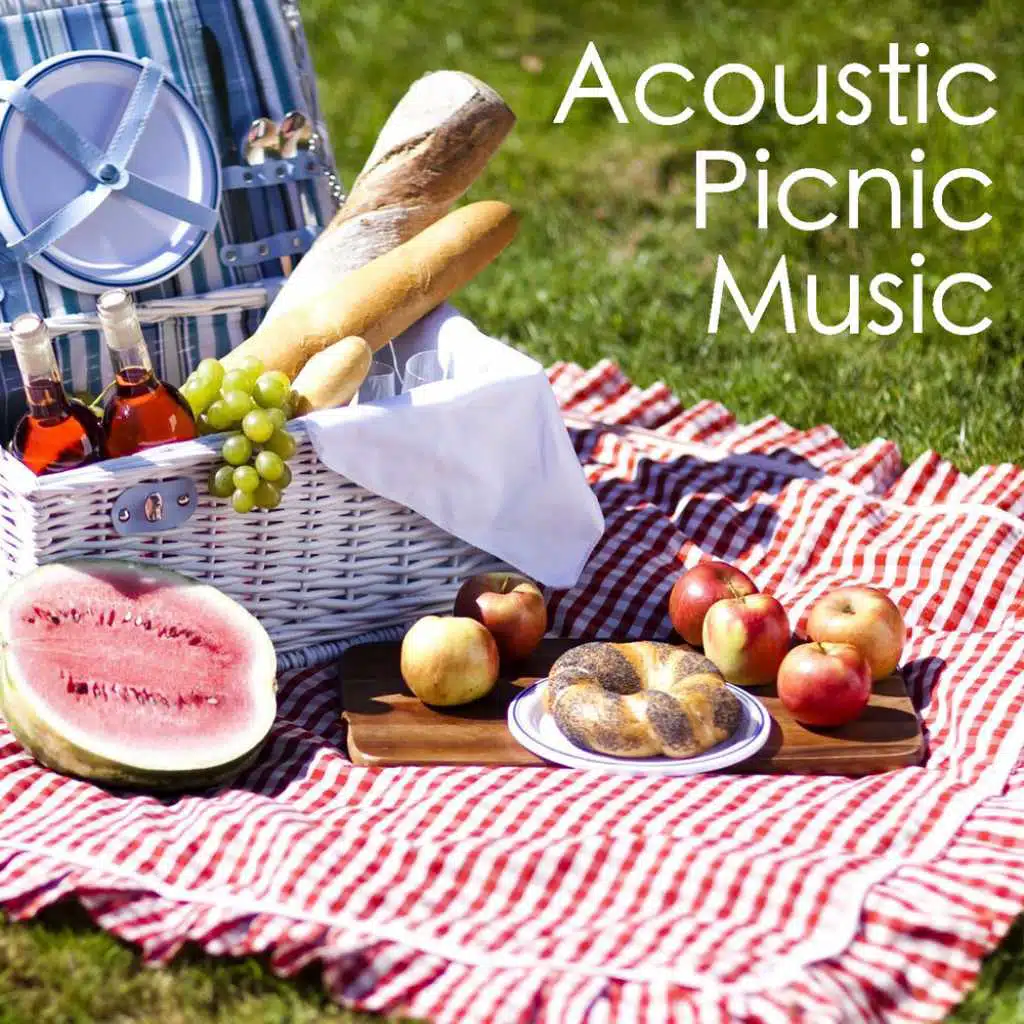 Acoustic Picnic Music