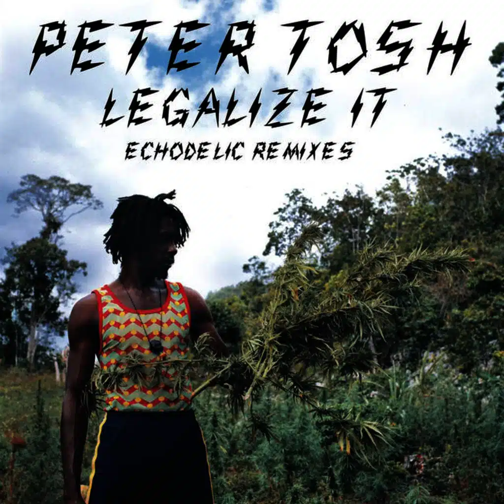 Legalize It (Secret Circuit's Echodelic Shockblast Mix)