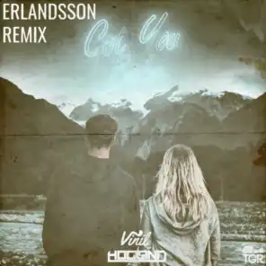 Got You Babe (Erlandsson Remix)