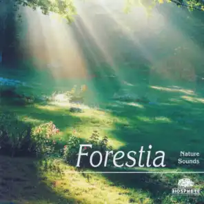 Forestia