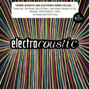 Electracoustic (Electronic Acoustic)