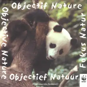 Objective Nature