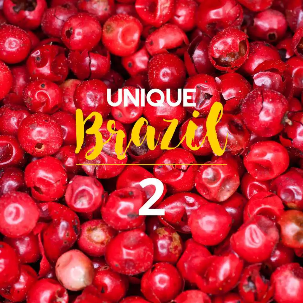 Unique Brazil, Vol. 2