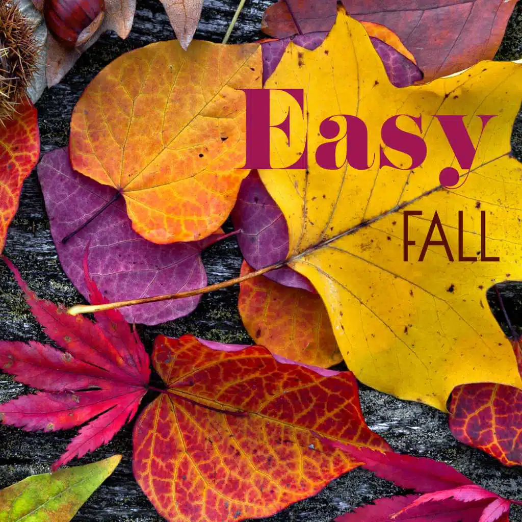 Easy Fall