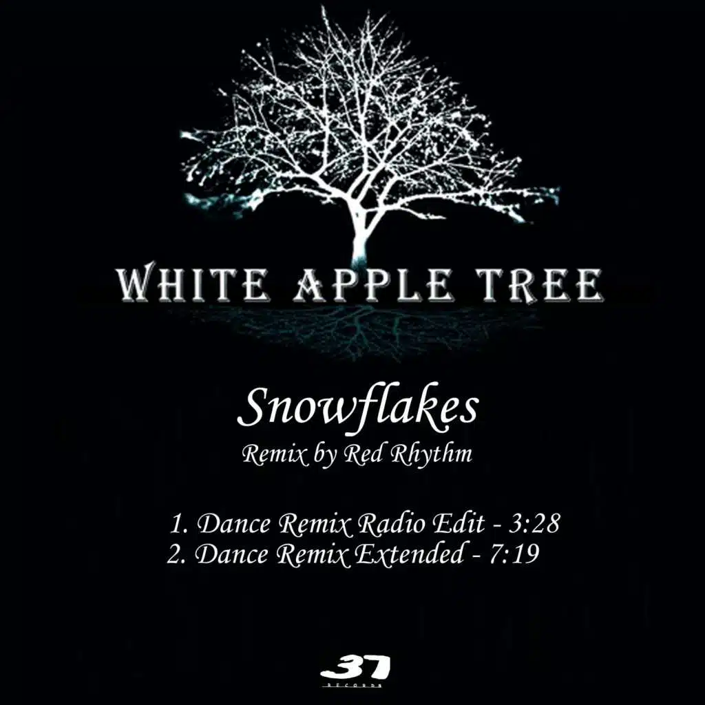 Snowflakes (Remix) [feat. Red Rhythm]