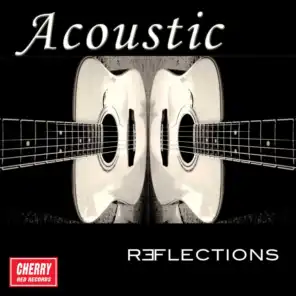 Acoustic Reflections