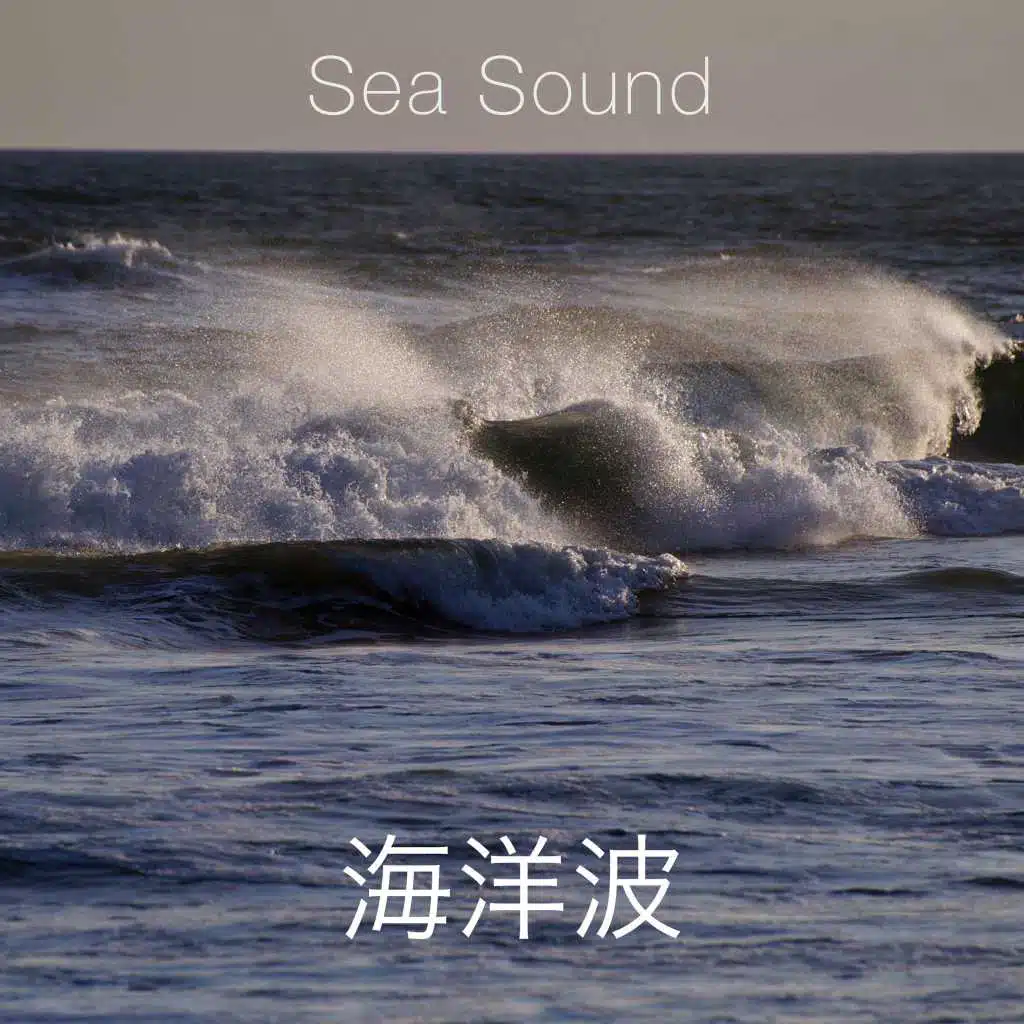 海洋波