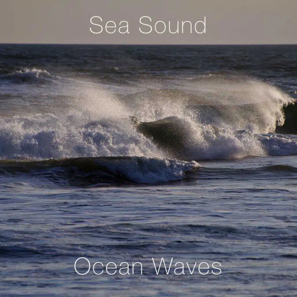 The Sound of Ocean Waves I