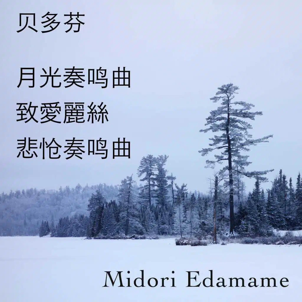 贝多芬: 月光奏鸣曲・致愛麗絲・悲怆奏鸣曲