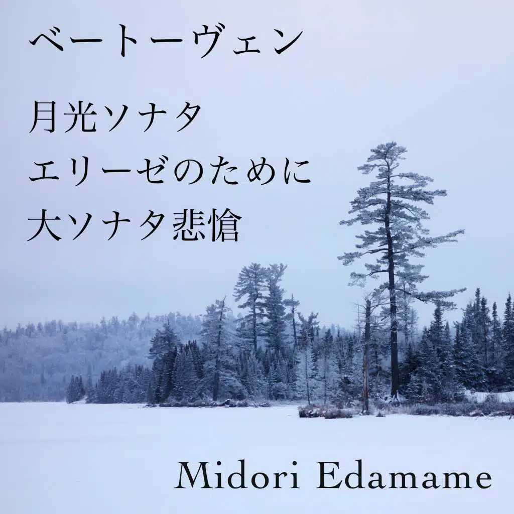 ベートーヴェン・月光ソナタ・エリーゼのために・大ソナタ悲愴