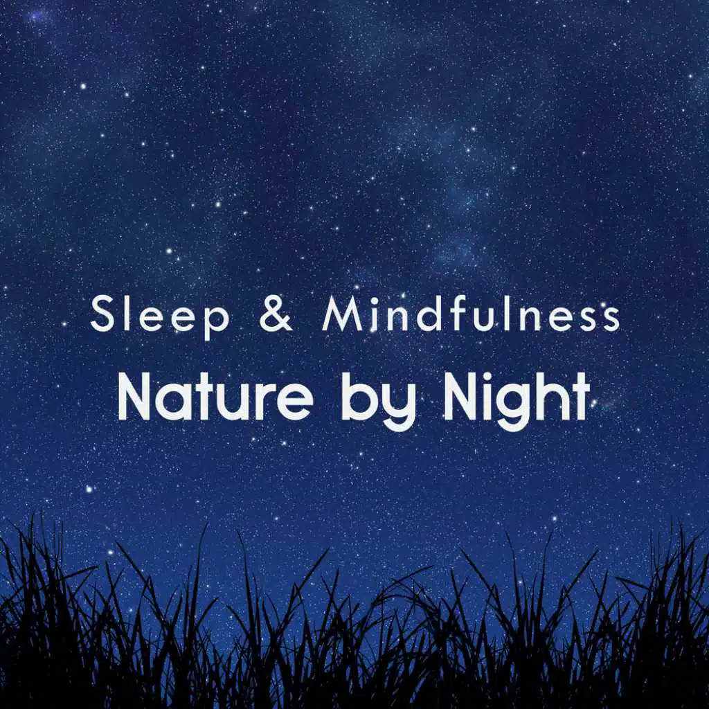 Sleepy Times, Night Sounds & Natural Sound Makers