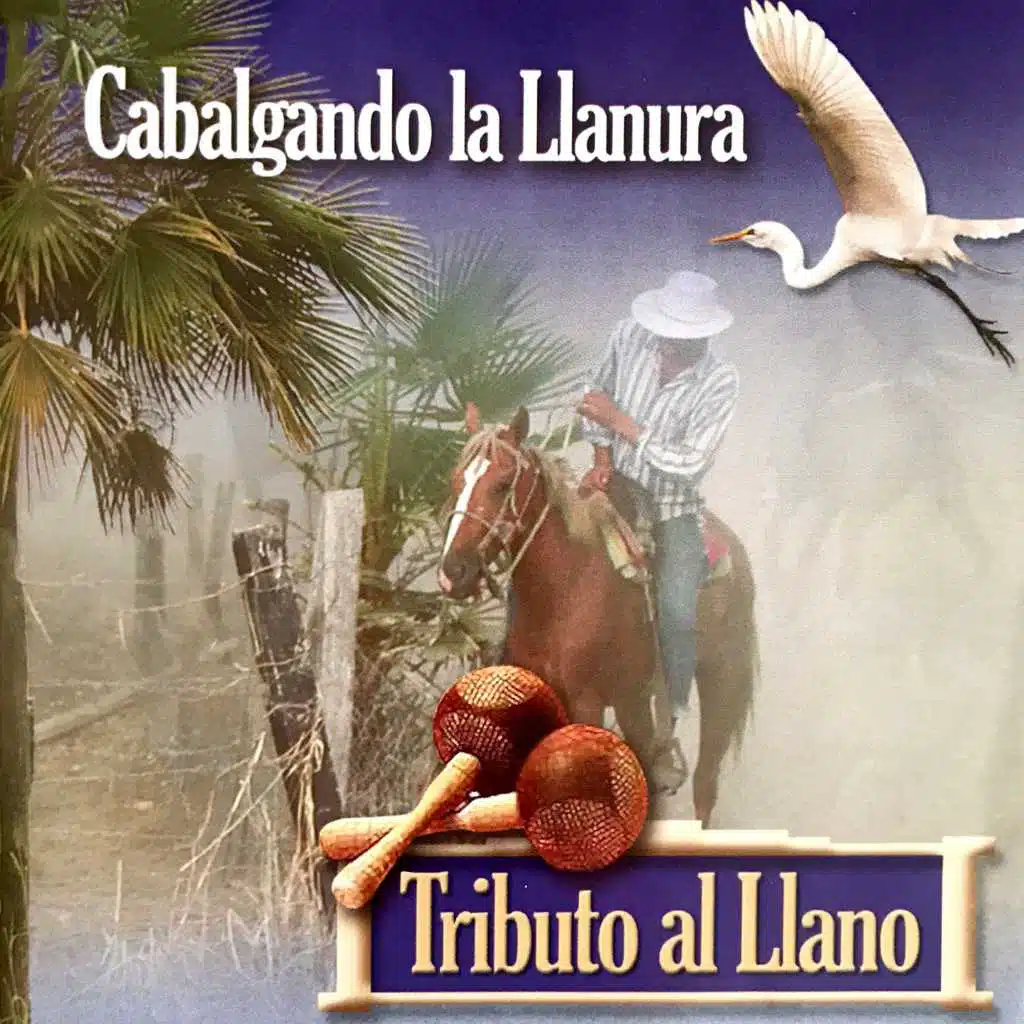 Cabalgando La Llanura (Tributo Al Llano)