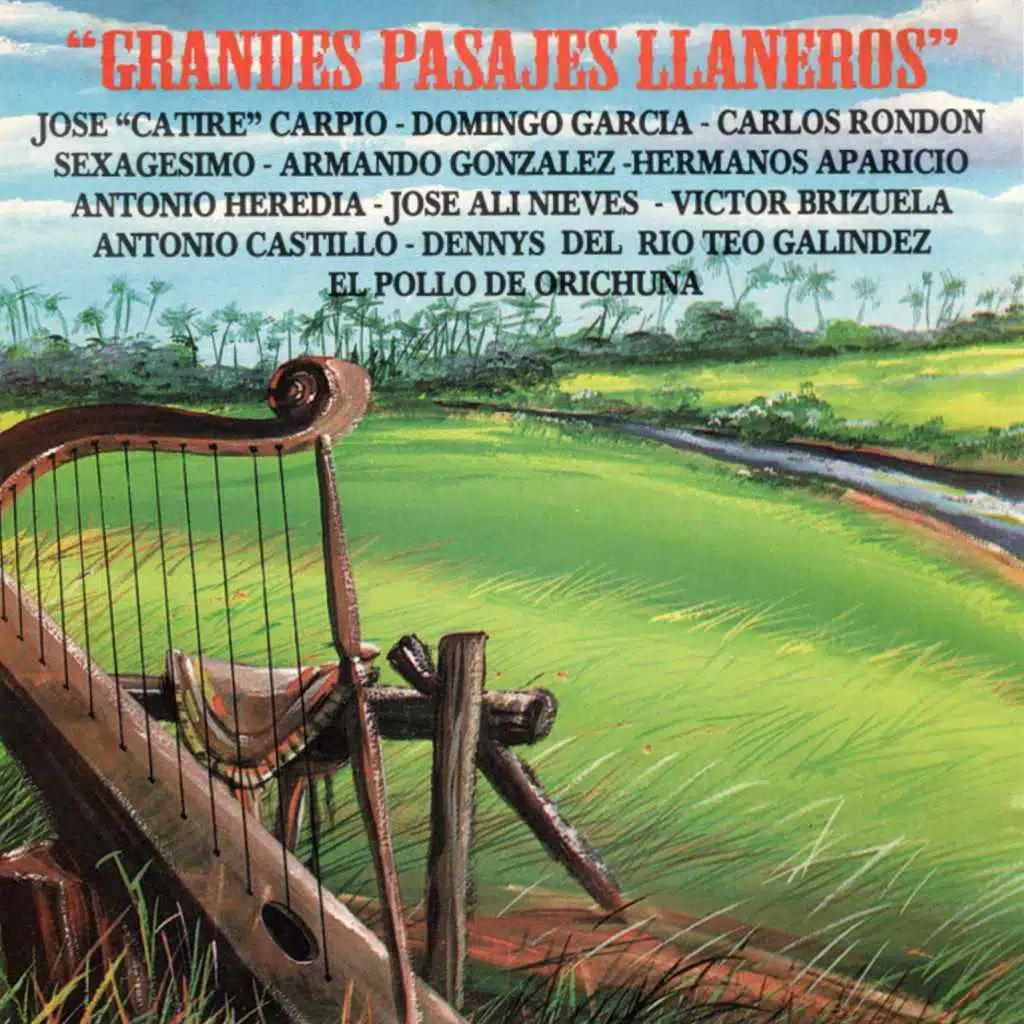 Grandes Pasajes Llaneros