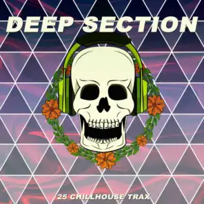 Deep Section (25 Chillhouse Trax)