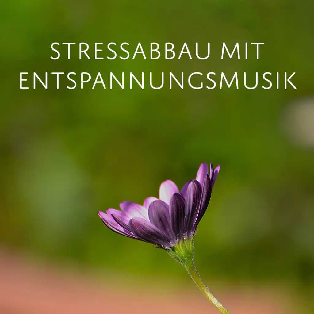 Meditationsmusik (Zen und Yoga)