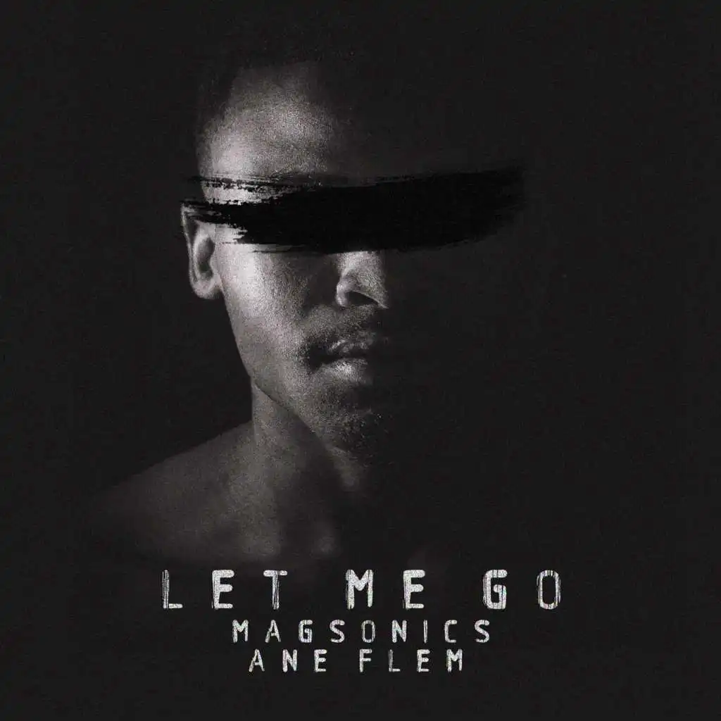 Let Me Go (feat. Ane Flem)