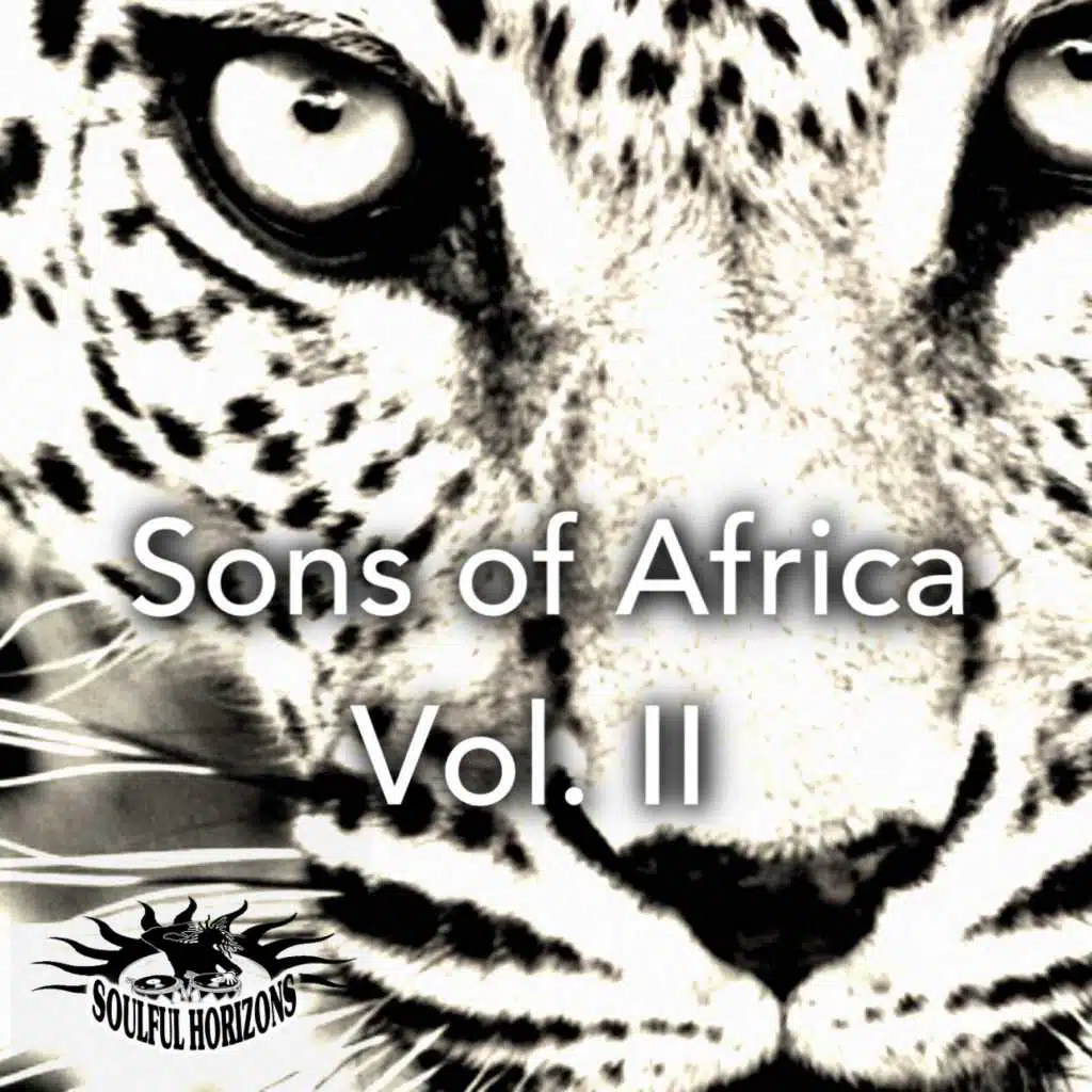 Sons Of Africa, Vol 2