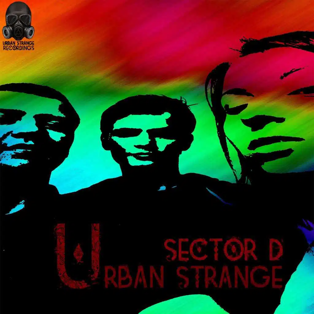 Sector D