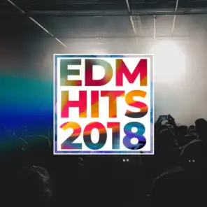 EDM HITS 2018