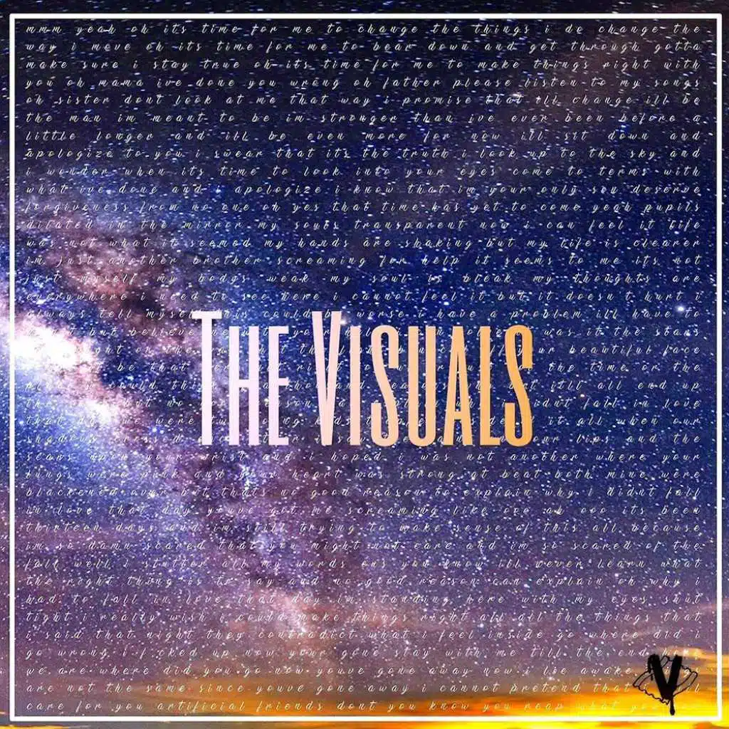 The Visuals
