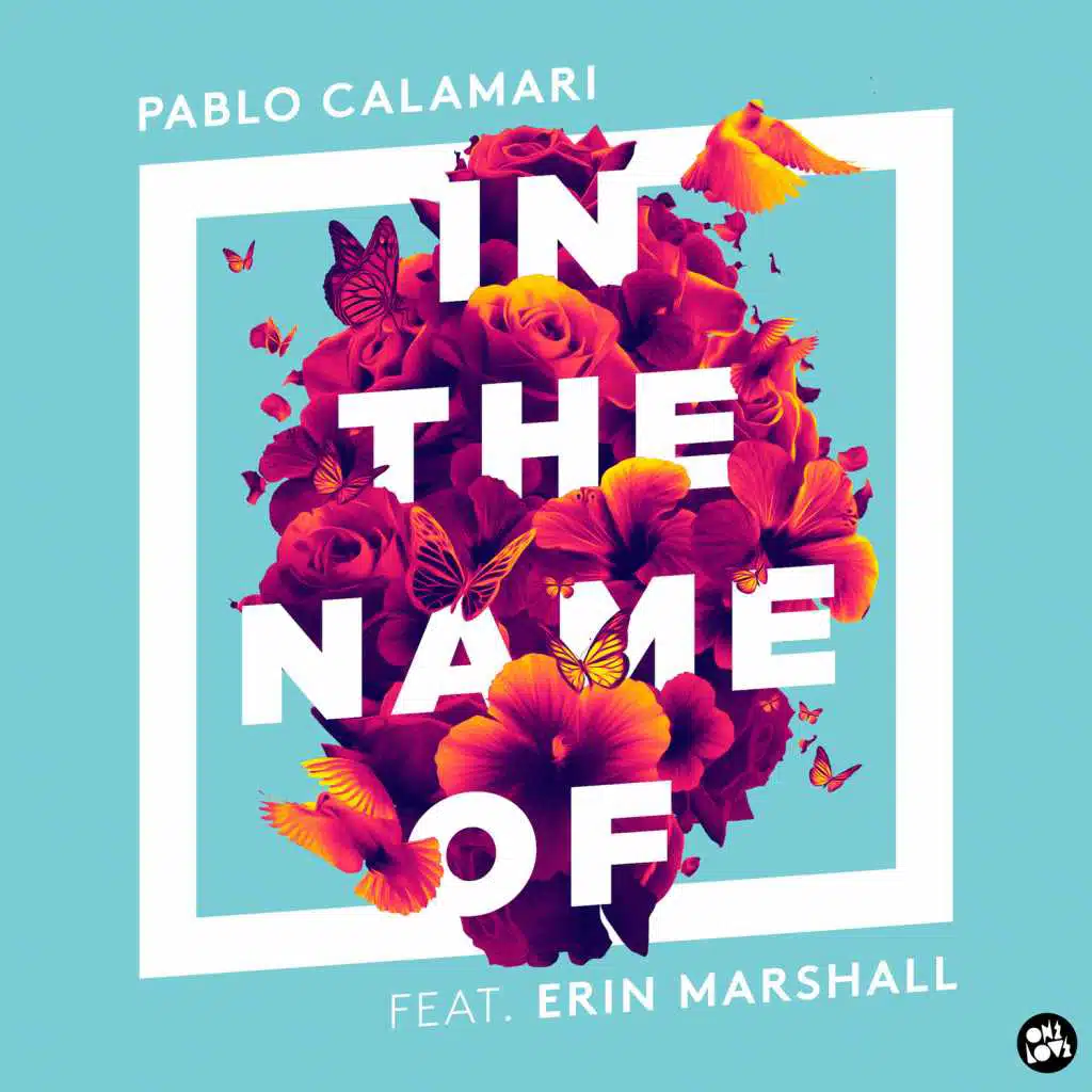 In the Name Of (feat. Erin Marshall)
