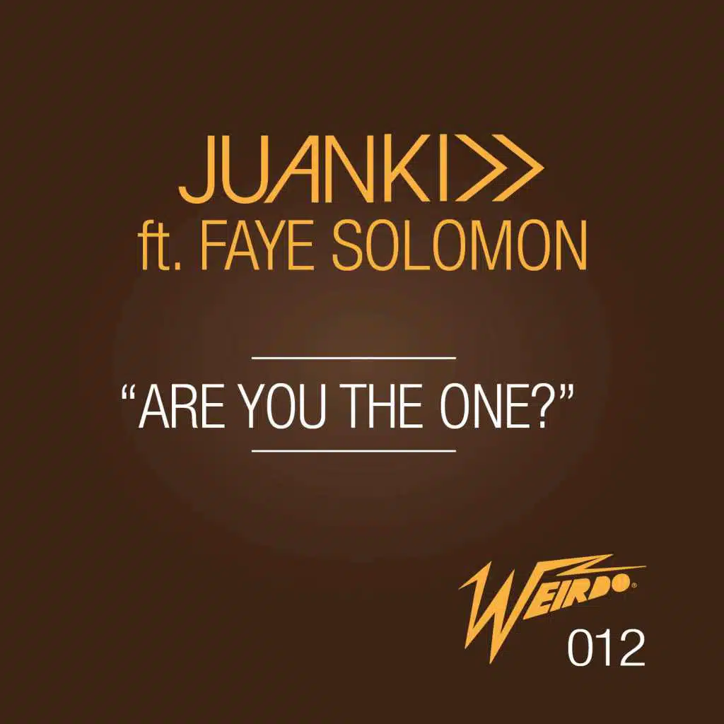 Are You the One? (feat. Faye Solomon)