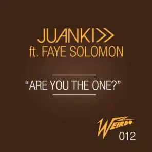 Are You the One? (feat. Faye Solomon)