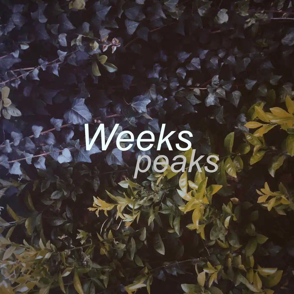 Weeks