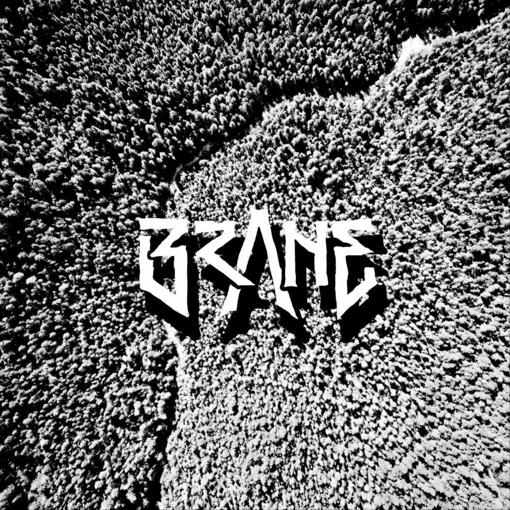 Brane