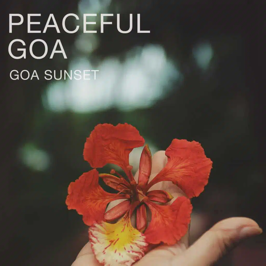 Goa Sunset