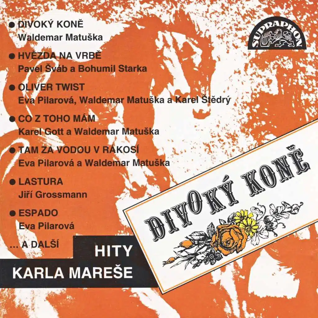 Divoký Koně-Hity Karla Mareše