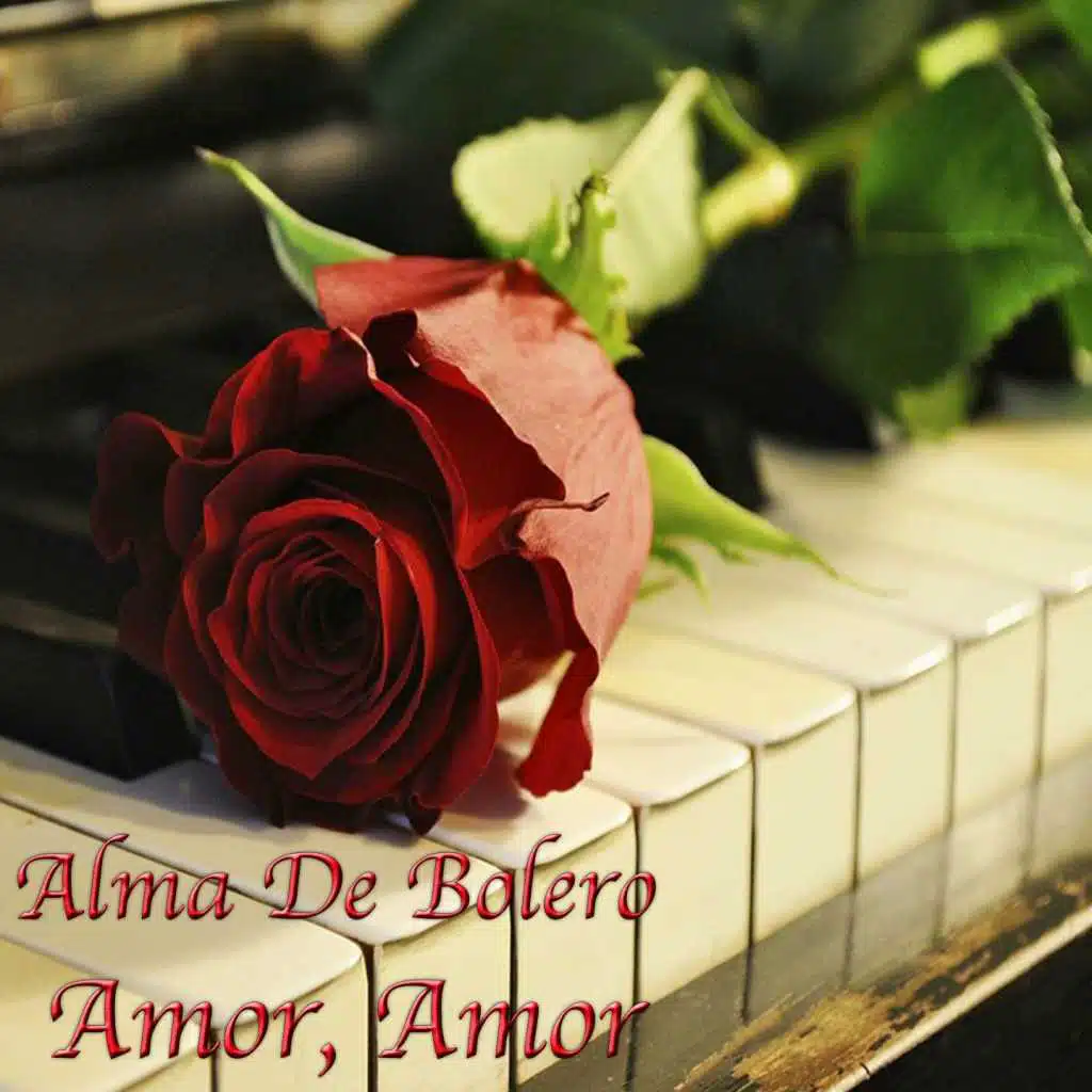 Amor, Amor